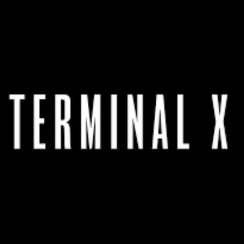 TERMINAL X